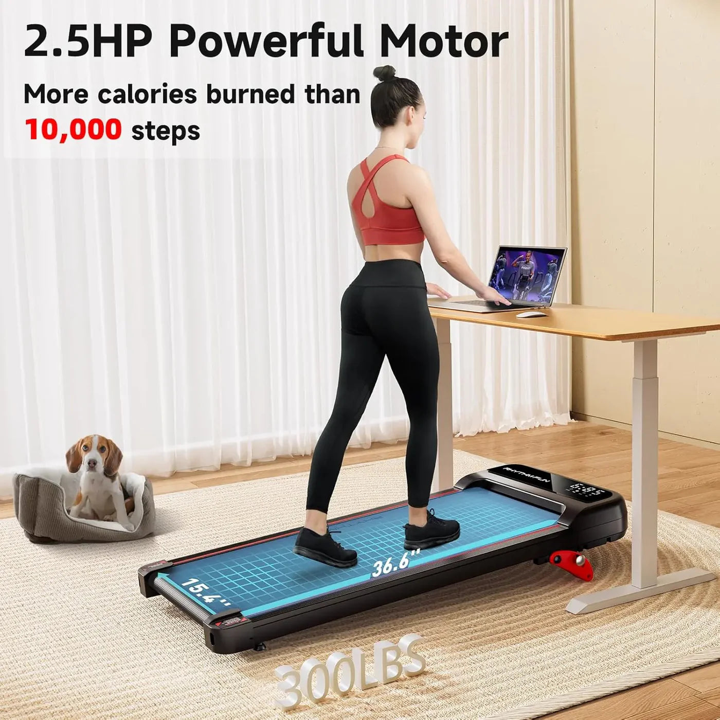 RHYTHM FUN AP01 Walking Pad with Incline
